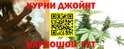 СК Севастополь