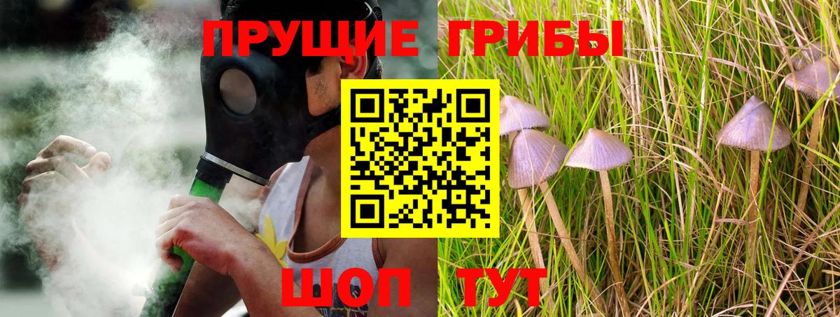 Псилоцибиновые грибы Psilocybe Семилуки